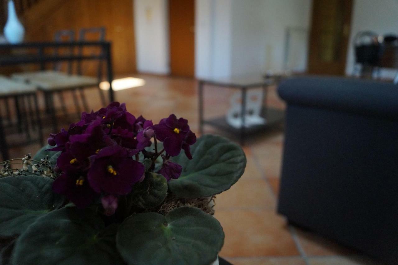 Bed and Breakfast Bonjour Bonheur Avellino Exteriér fotografie